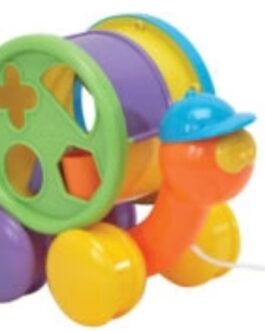 Fun Time-Tommy Turtle