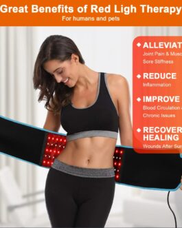Red Light Waist Massager Belt