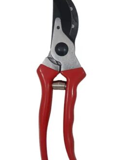 Pruning Shear
