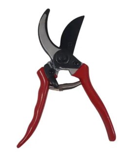 Pruning Shear