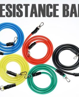 Power Resistance Bands – Home Gym Extreme